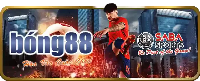 Ưu đãi độc quyền quang88